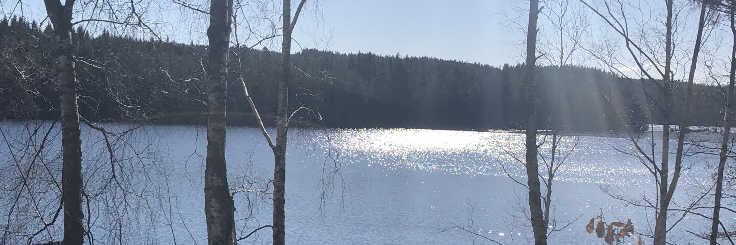 KatLJensen's profile banner image