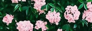 fxryjoo's profile banner image