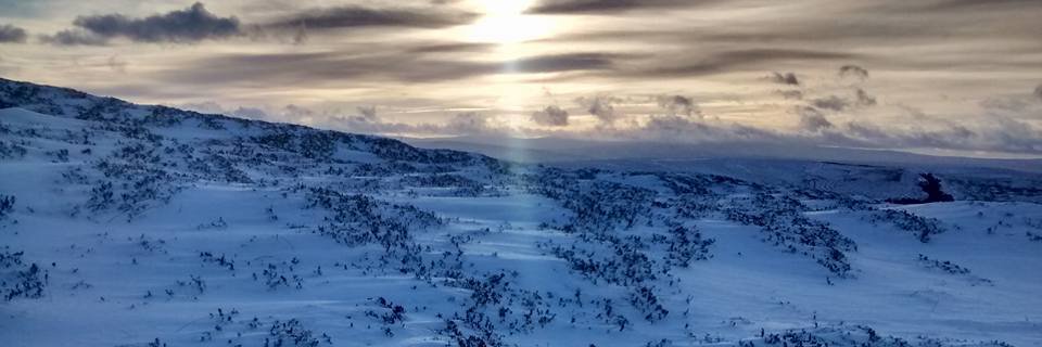 gavin stewart banner