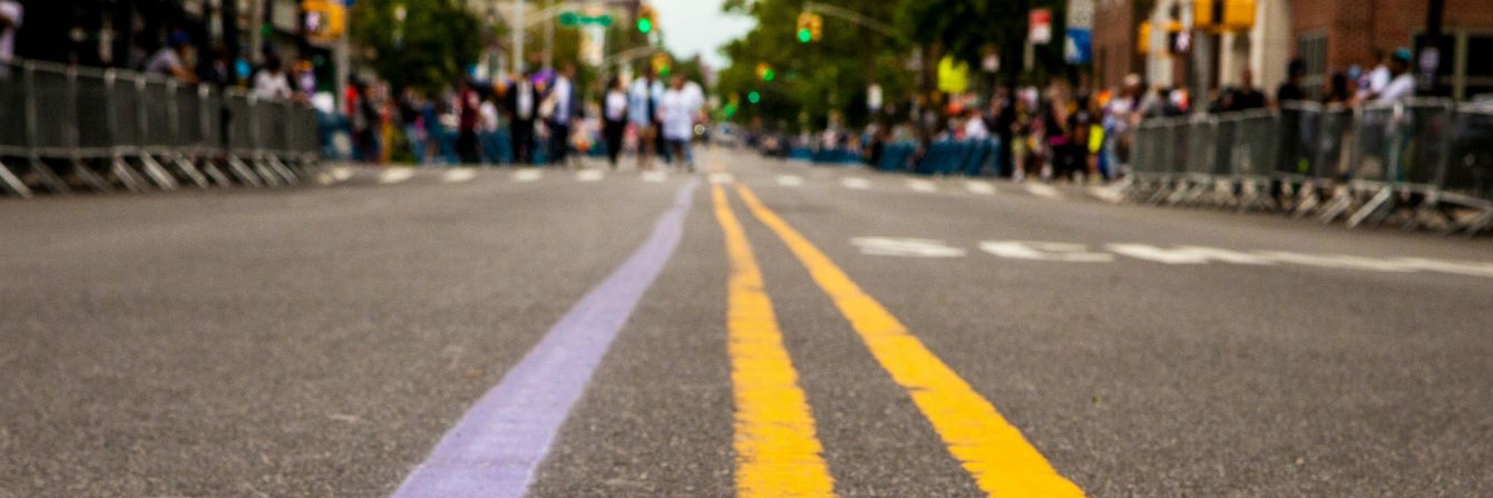 Lavender Line Democratic Club of Queens banner