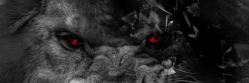 Thaniel Thun banner