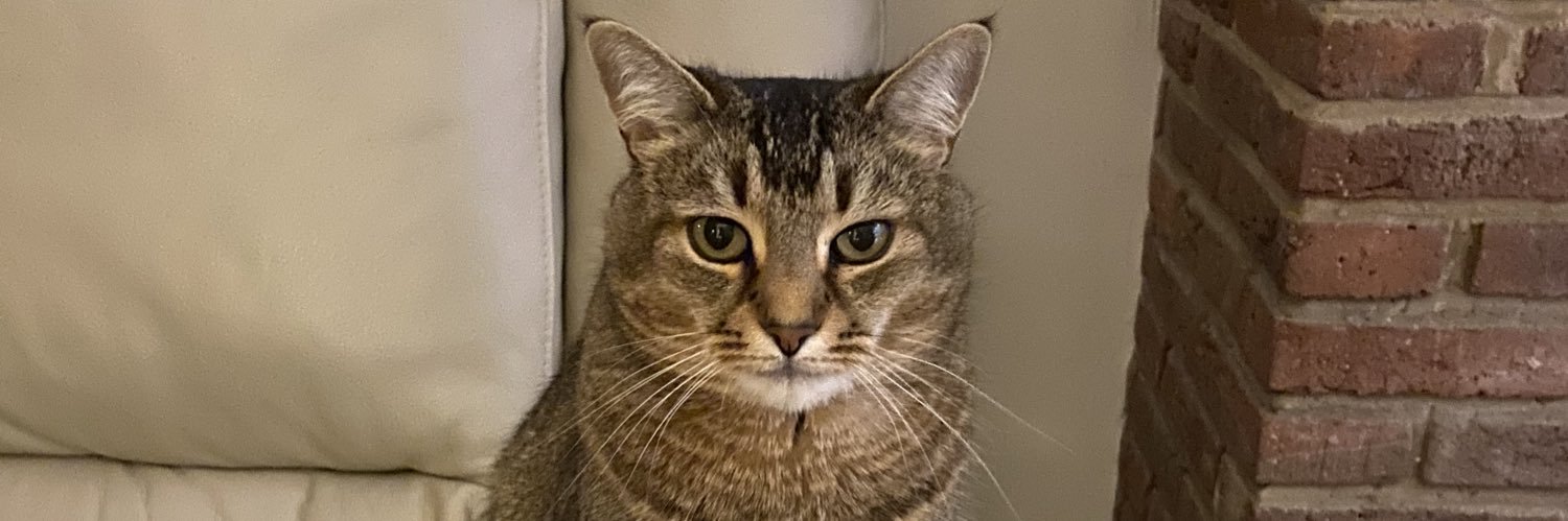 chloebrubaker's profile banner image