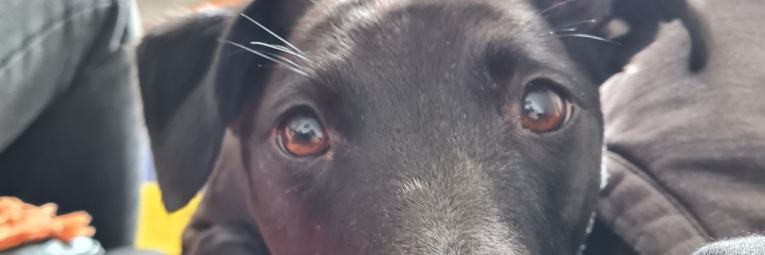 llsticksll's profile banner image