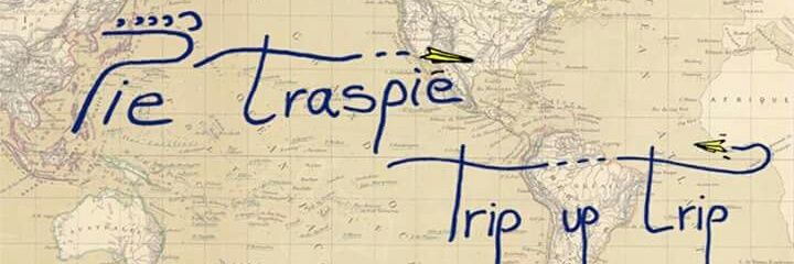 pie_traspie's profile banner image