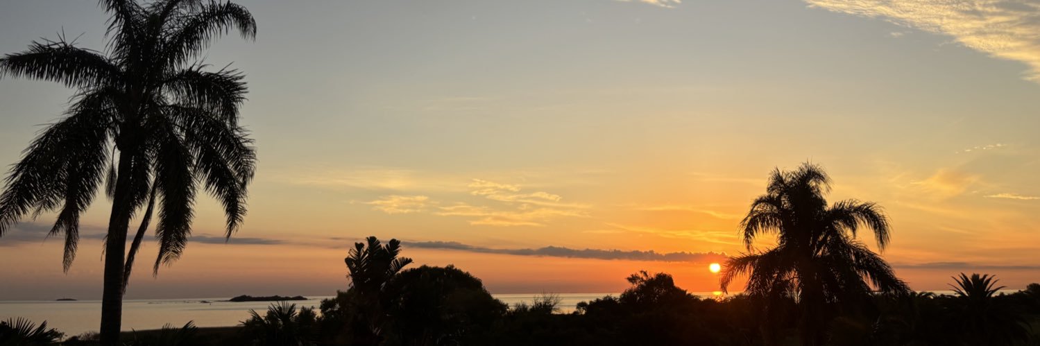 vicky_erre's profile banner image