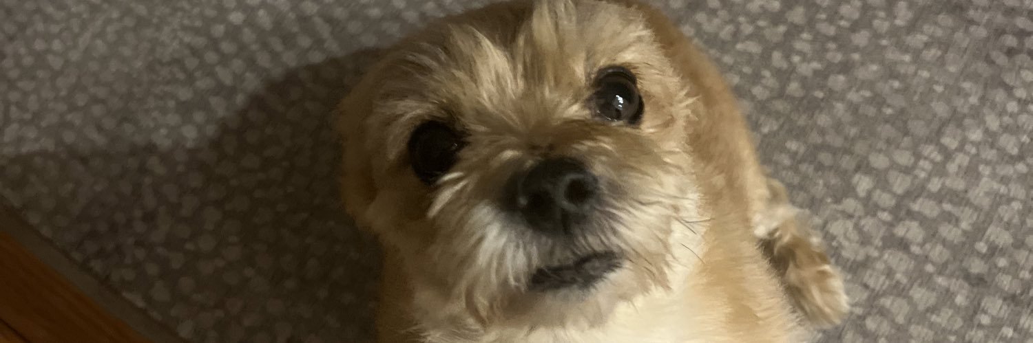 Vosh__'s profile banner image
