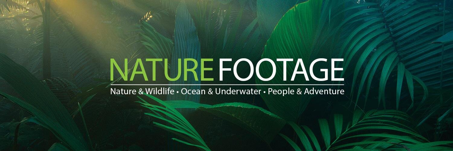 NatureFootage's profile banner image