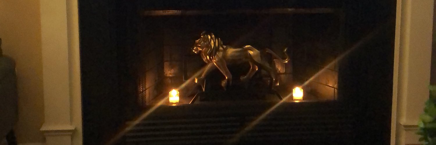 this_is_X's profile banner image