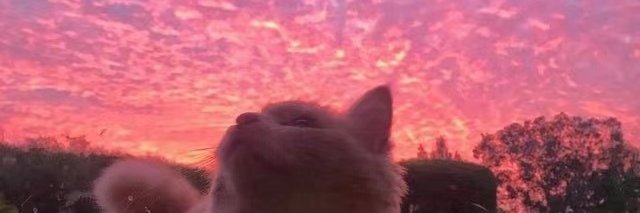 ambsamybsam's profile banner image