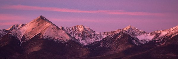 The Daily pursuit of healthyness Profile Banner