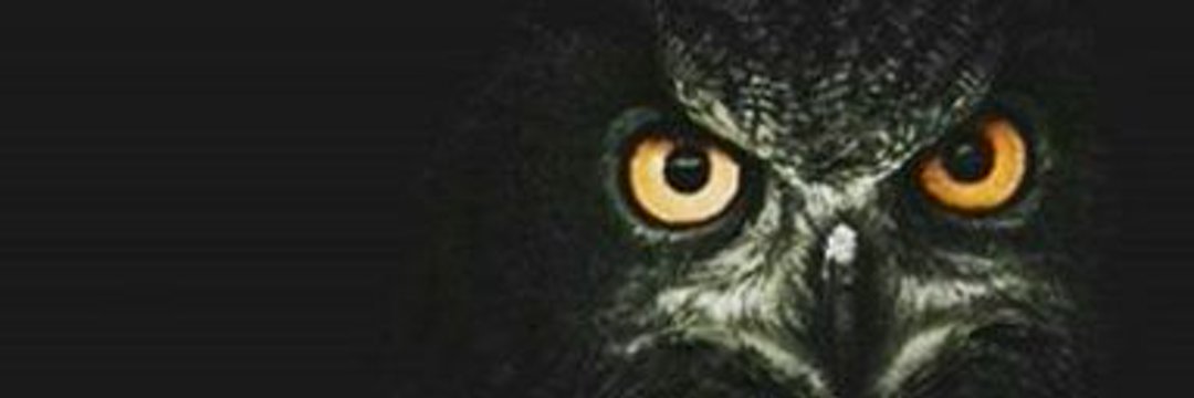 Mon2Raj_'s profile banner image