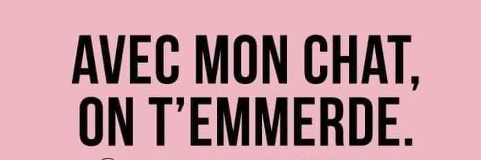 Jenny Deadpool 🇨🇵 🇵🇸 banner