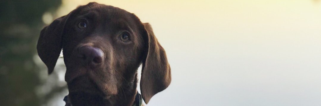 ian_willis11's profile banner image