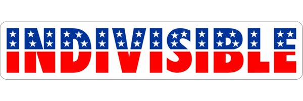 IndivisibleNet Profile Banner