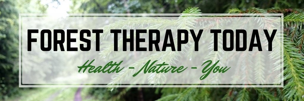 ForestTherapy24's profile banner image