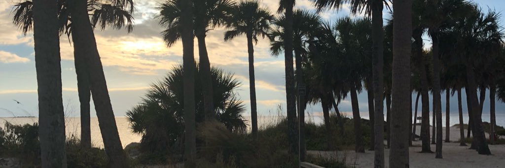 krista_tagaras's profile banner image