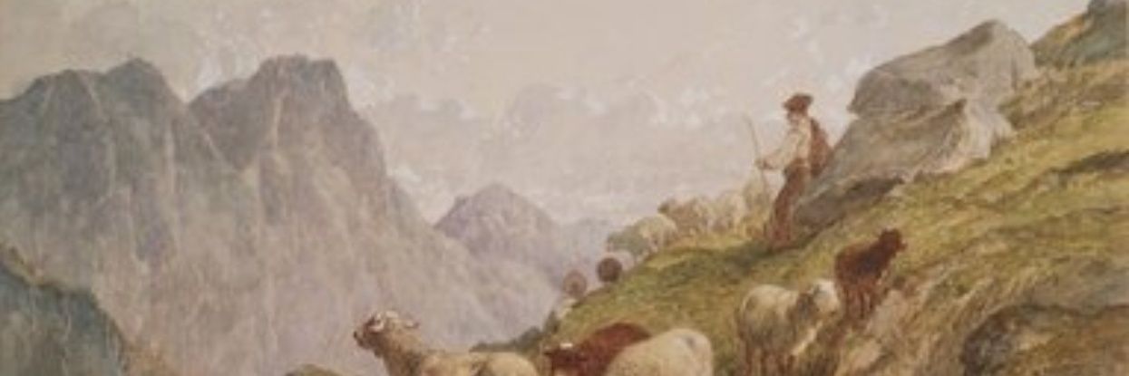 edzarcher's profile banner image