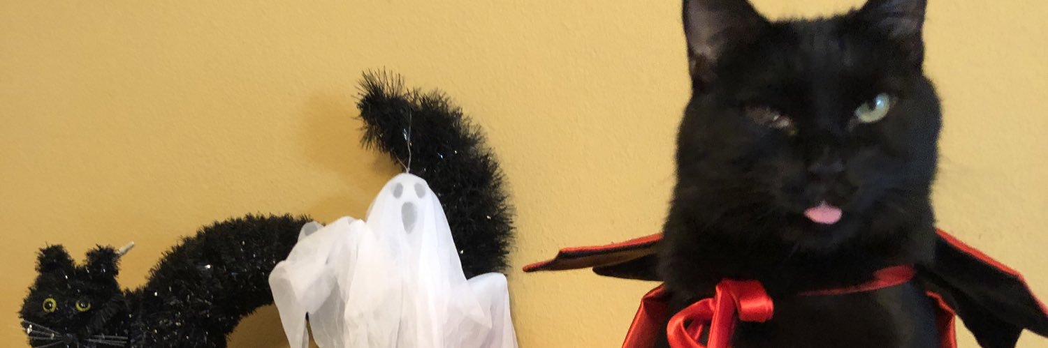 spookothecat's profile banner image