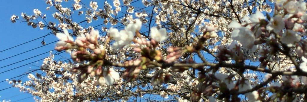 n777561's profile banner image
