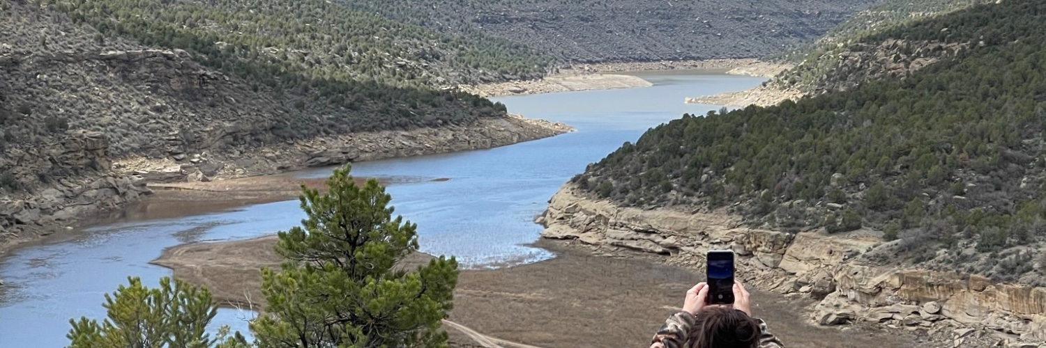LisaDickinson28's profile banner image