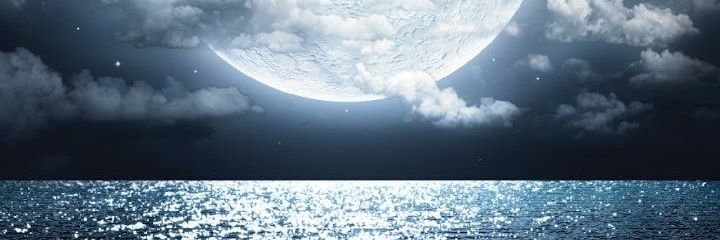 FEARxLG's profile banner image