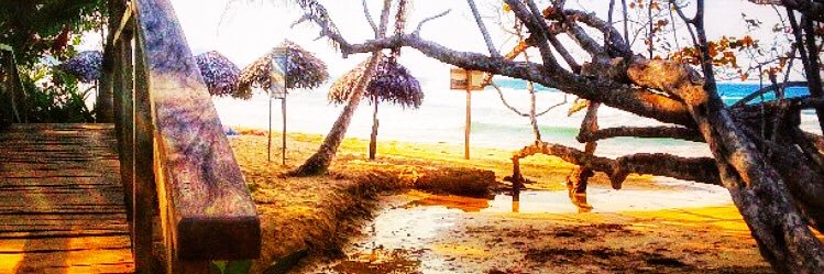 luiseban's profile banner image