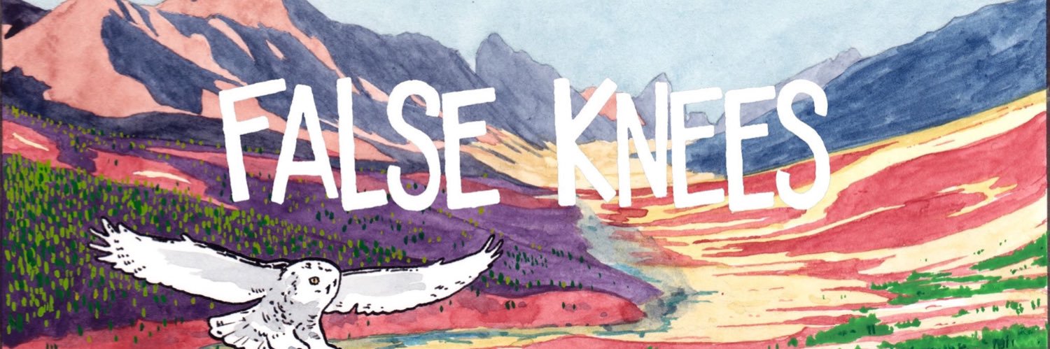 False Knees's banner