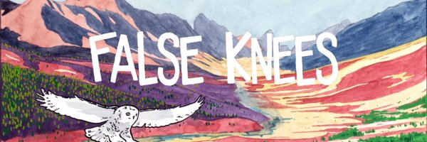FalseKnees Profile Banner