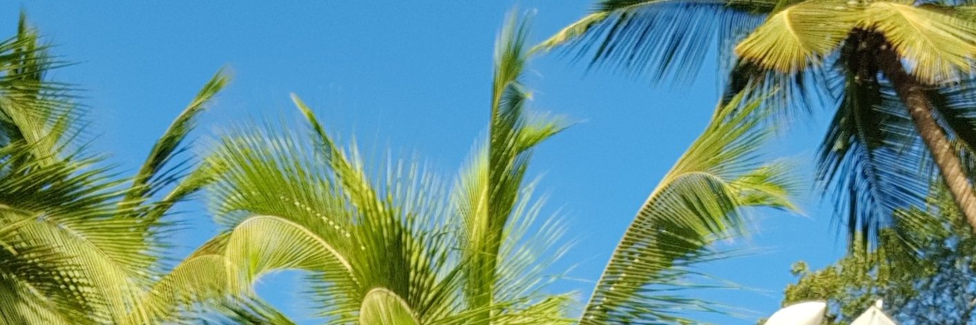 skillitrish's profile banner image
