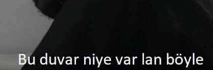 seda_akcam's profile banner image