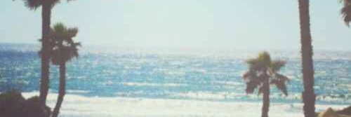 CareyAF's profile banner image
