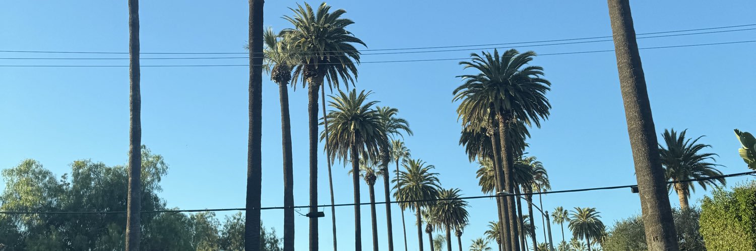 WEBBER FILMS, LLC banner