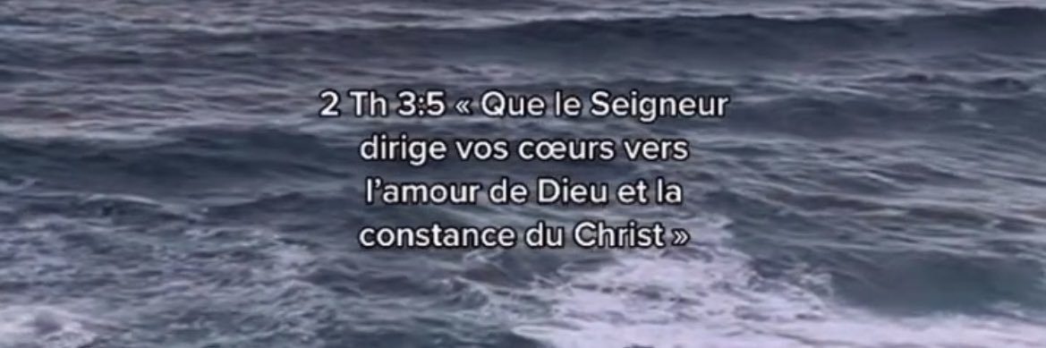 Bibi92 banner