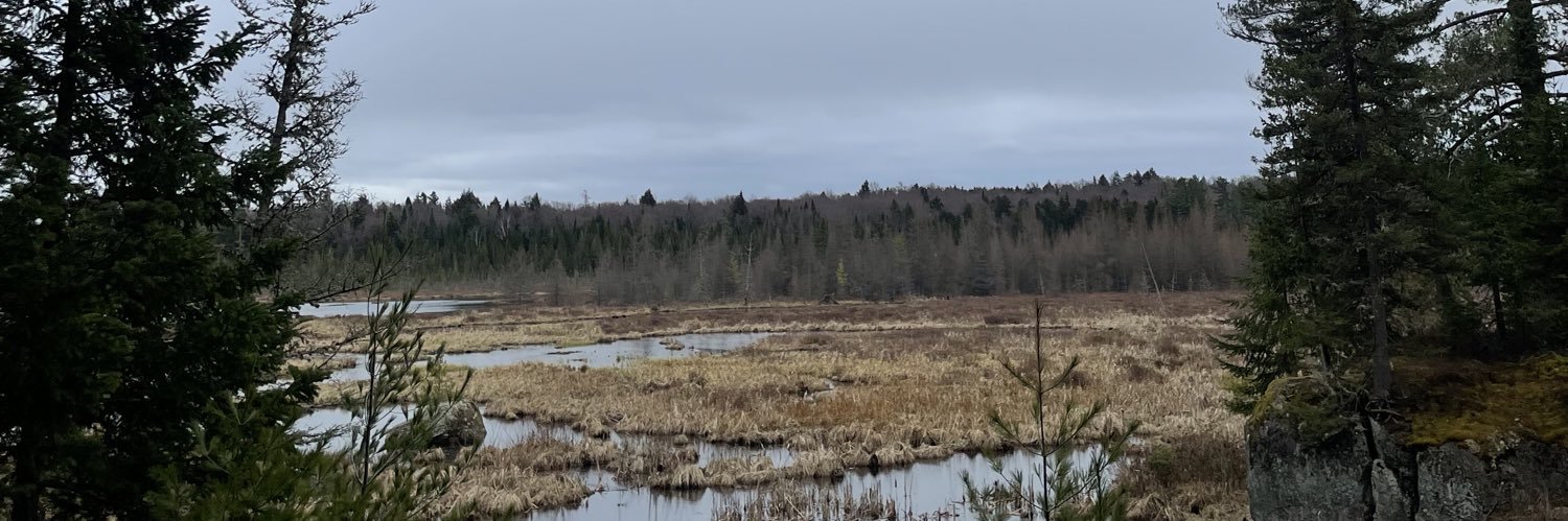 Sola Akindolu banner