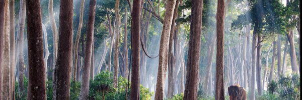 SheiliSarah Profile Banner