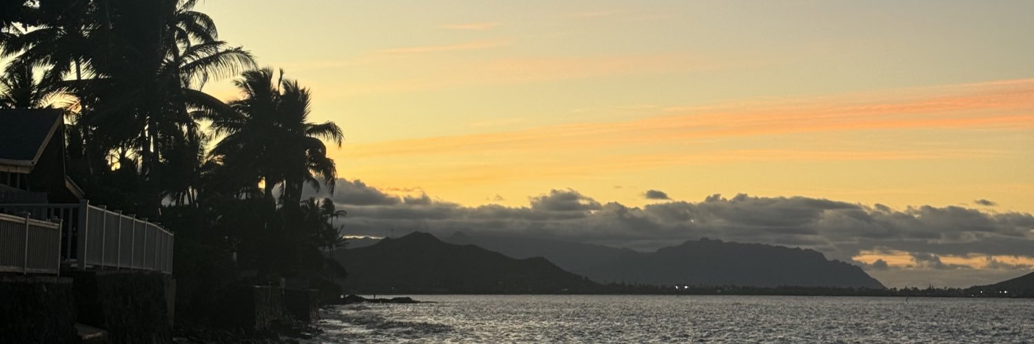 Sandra_ff_'s profile banner image