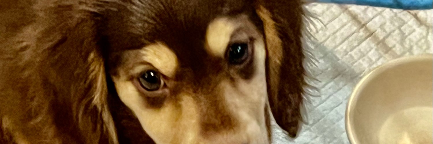 MTZ⚽️✝️ banner