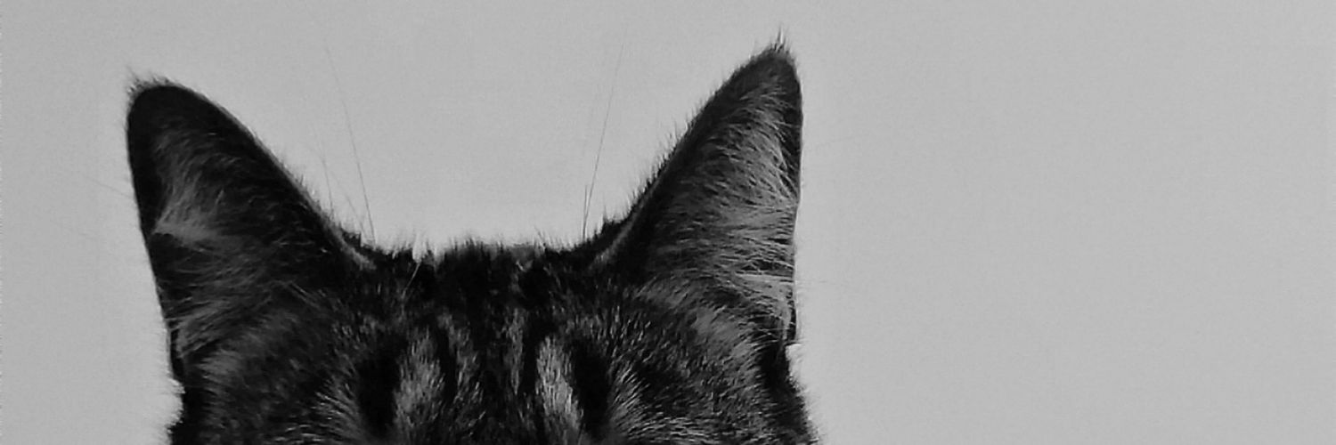 Laureens_2's profile banner image