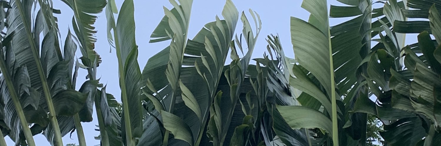 12345th's profile banner image