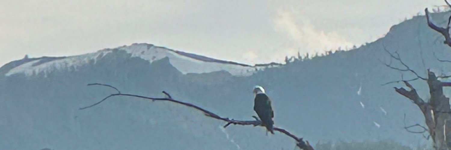 𝗘𝗥𝗜𝗖 𝗘𝗔𝗥𝗟𝗬 banner