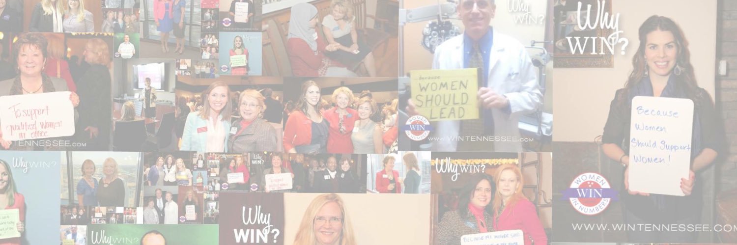 WomenInNumbers's profile banner image