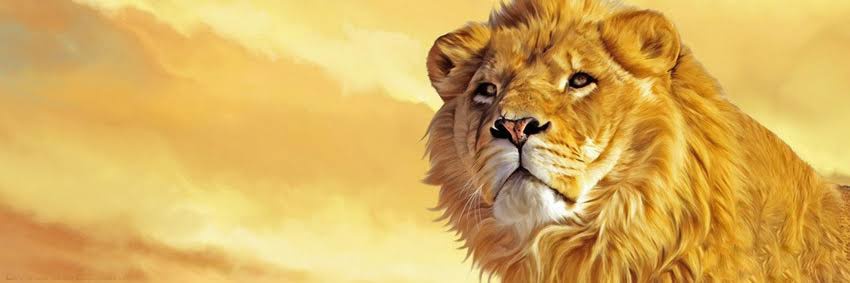 cristowbal's profile banner image