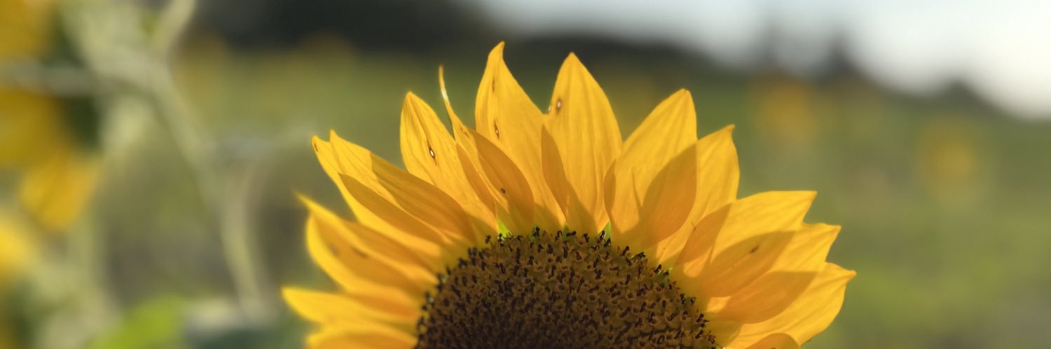 MissToshaJay_'s profile banner image