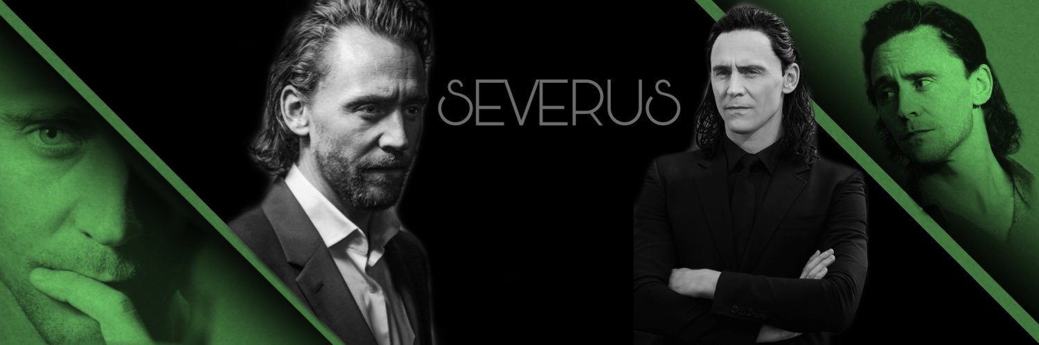Severus Snape banner