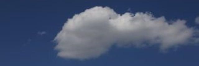 Elizabeth Marie banner