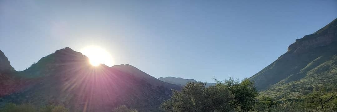 Nicole Lane banner