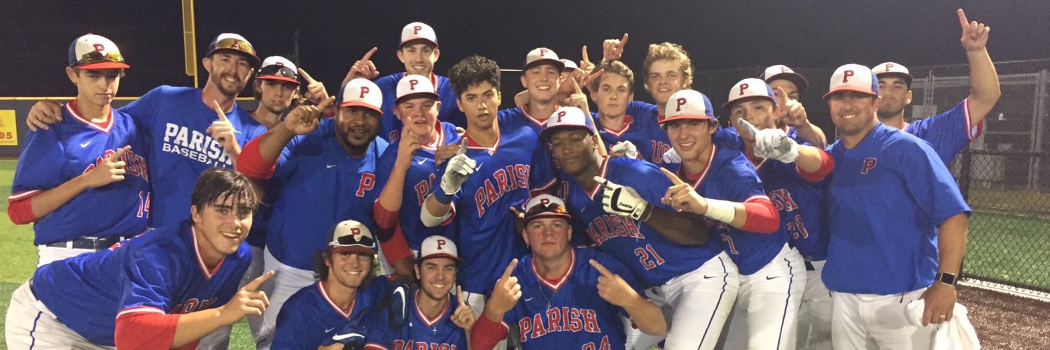 Panther Baseball banner