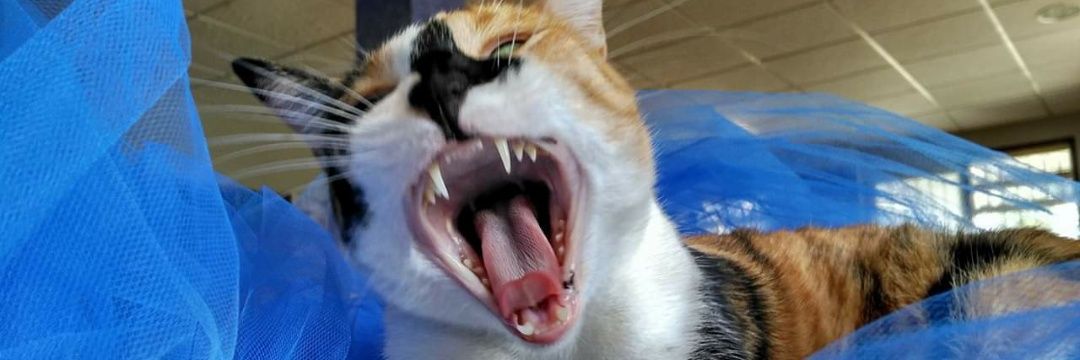 Marn_2's profile banner image
