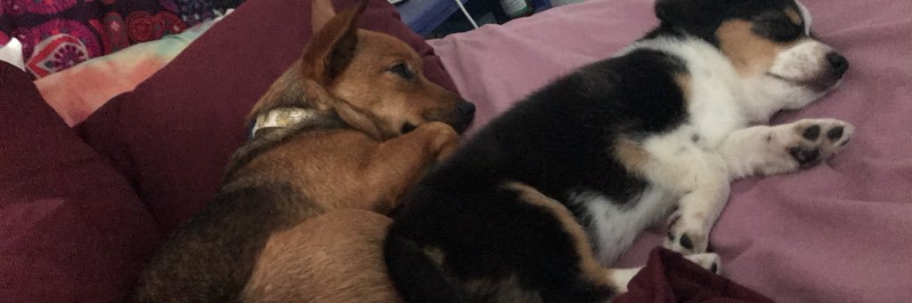 BrittyJooo's profile banner image