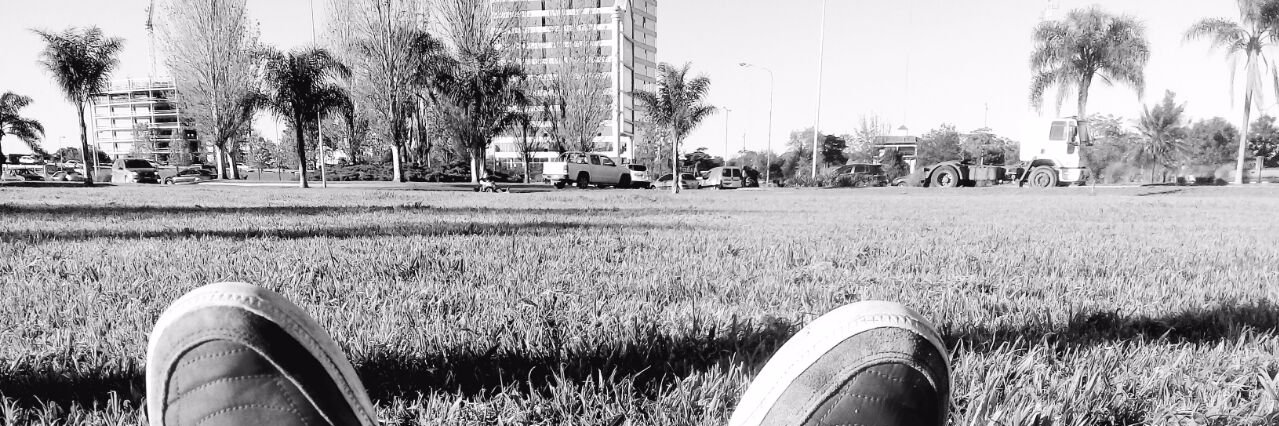 Dani🐴 banner